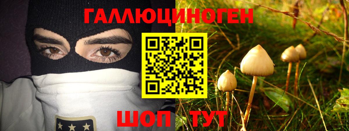 Звенигород  Галлюциногенные грибы GOLDEN TEACHER  Вход с VPN 